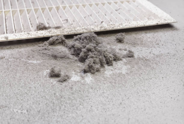 Best Home Air Vent Cleaning  in Mpo, CA
