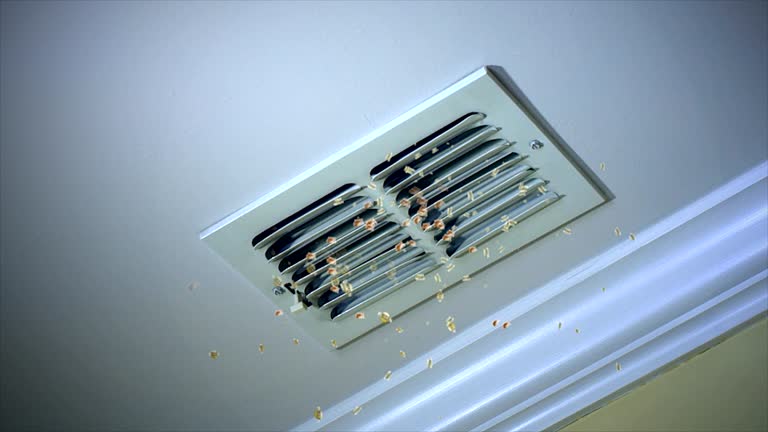 Best Ductwork Cleaning Services  in Mpo, CA
