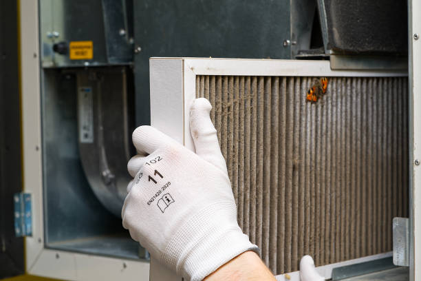 Best Emergency Air Duct Cleaning  in Mpo, CA