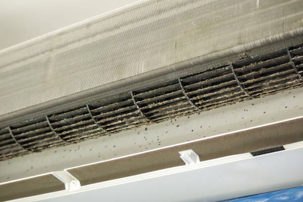 Best Professional Duct Cleaning Services  in Mpo, CA
